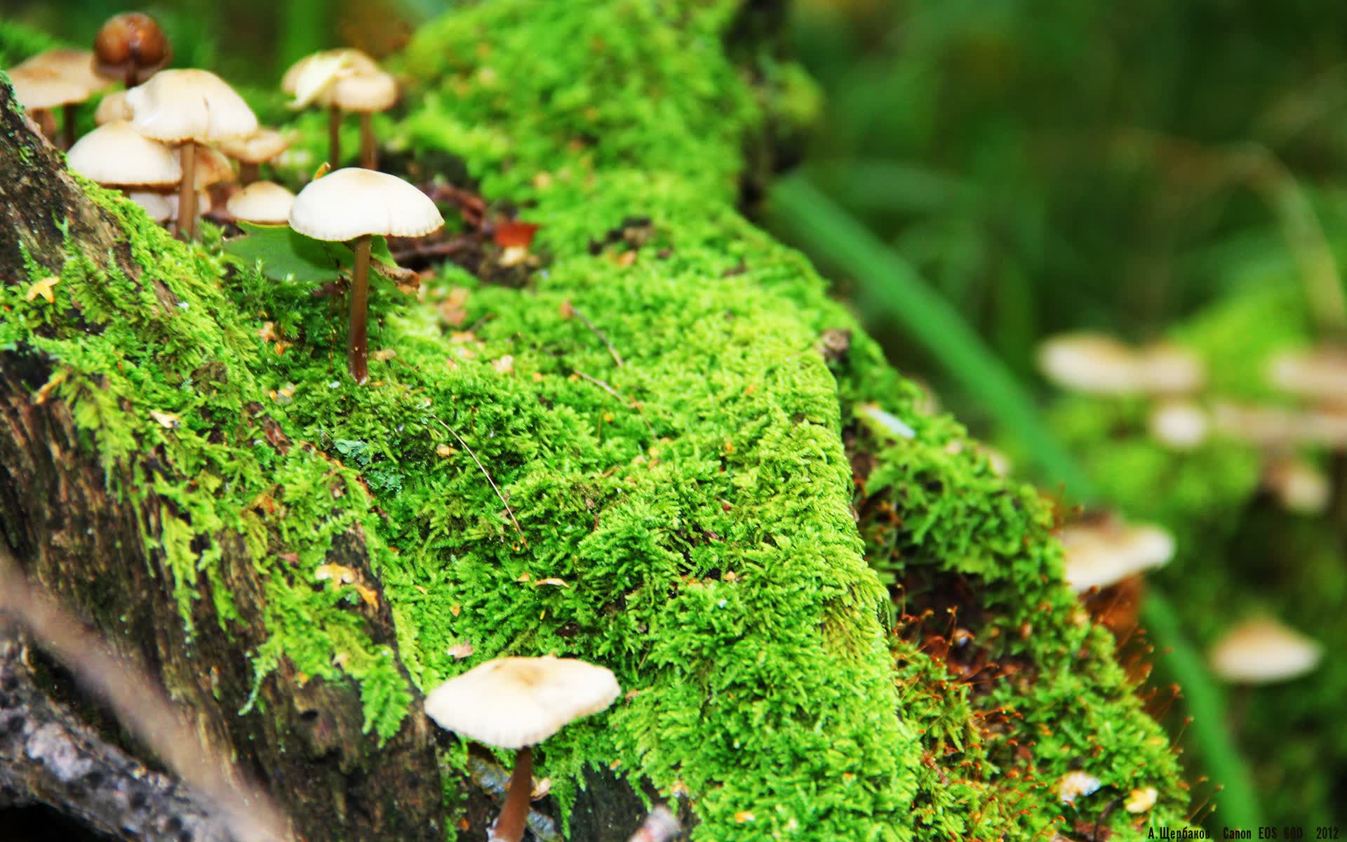 世界拳击锦标赛赛场观众文明观赛长效活动推进，拳击世界赛事