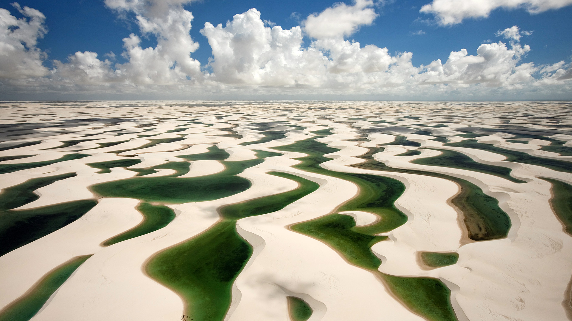 世界短跑社区教练扶持新政策公布：专项资金到位，短跑教练招聘